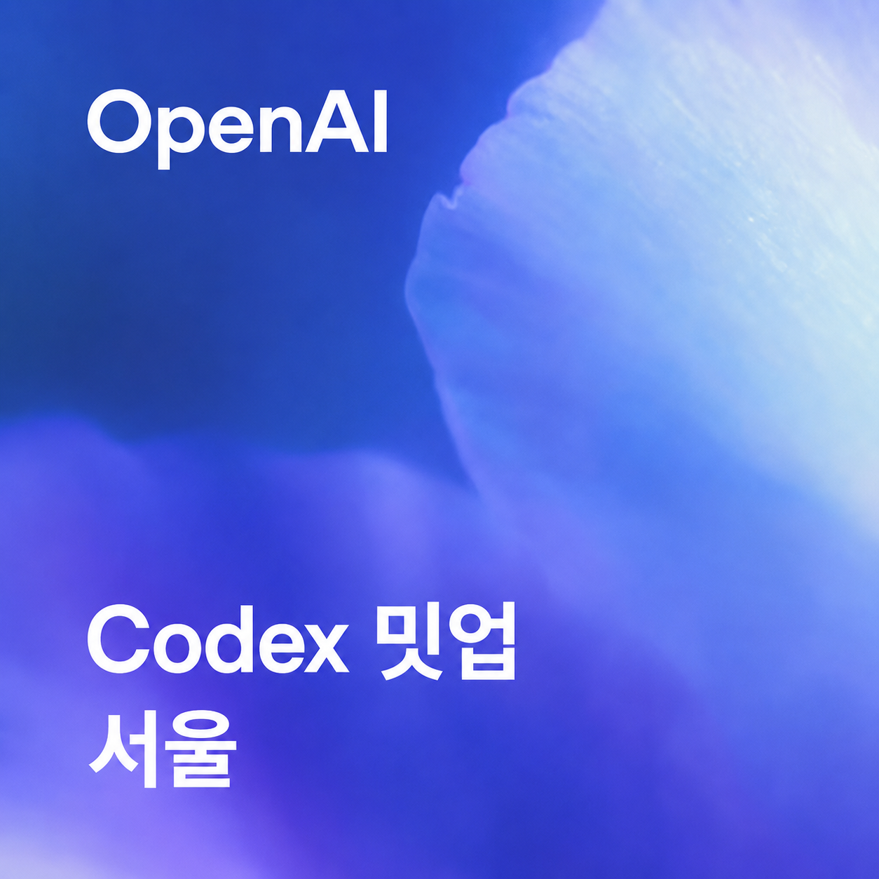 OpenAI Codex Meetup - Seoul